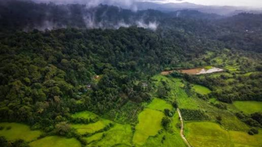 2–3 Day Coorg Itinerary for a Monsoon Trip